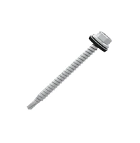 [SR043] Clenergy Self-drilling Ponte Screw (Hook Screws)