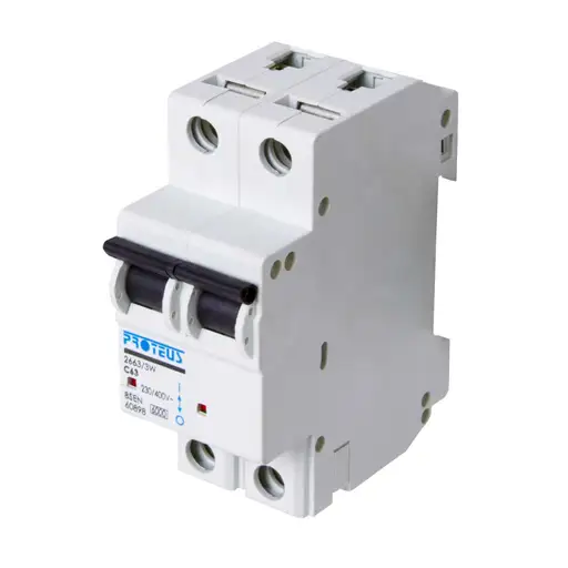 [SE102] Proteus 63A Double Pole 6kA C Curve MCB